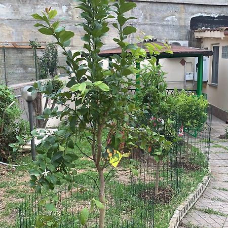 B&B Civitavecchia La Casetta Con Giardino Exterior foto