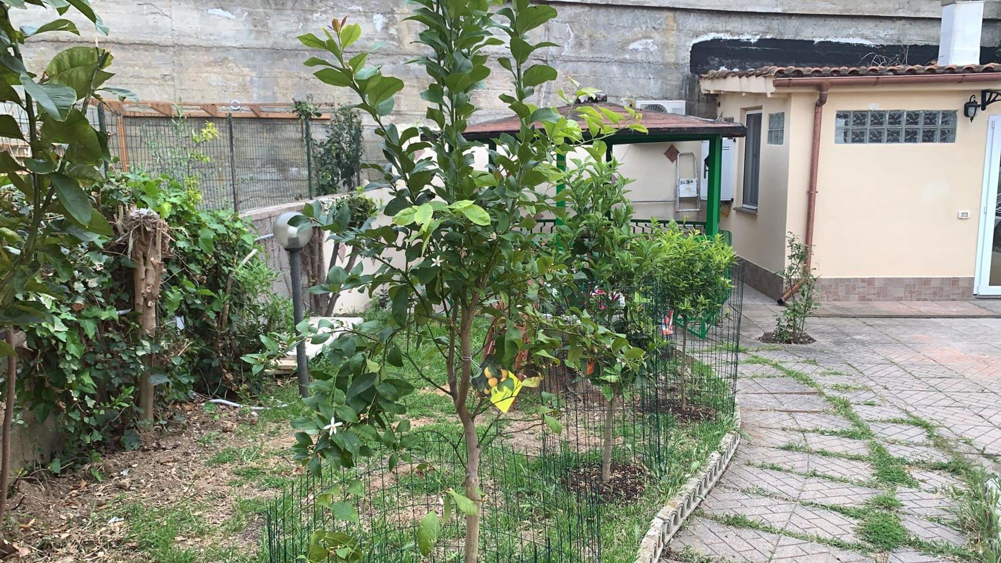 B&B Civitavecchia La Casetta Con Giardino Exterior foto